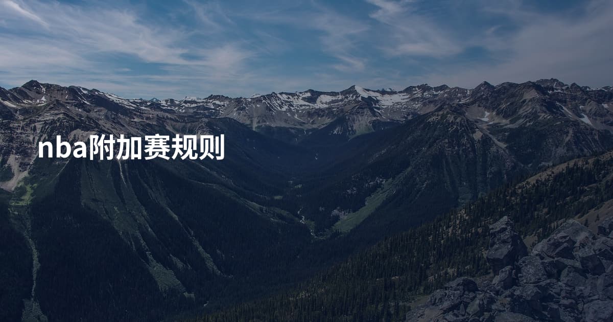 nba附加赛规则
