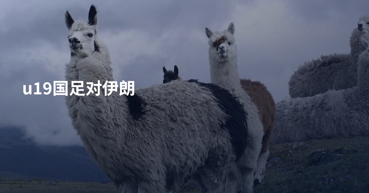 u19国足对伊朗