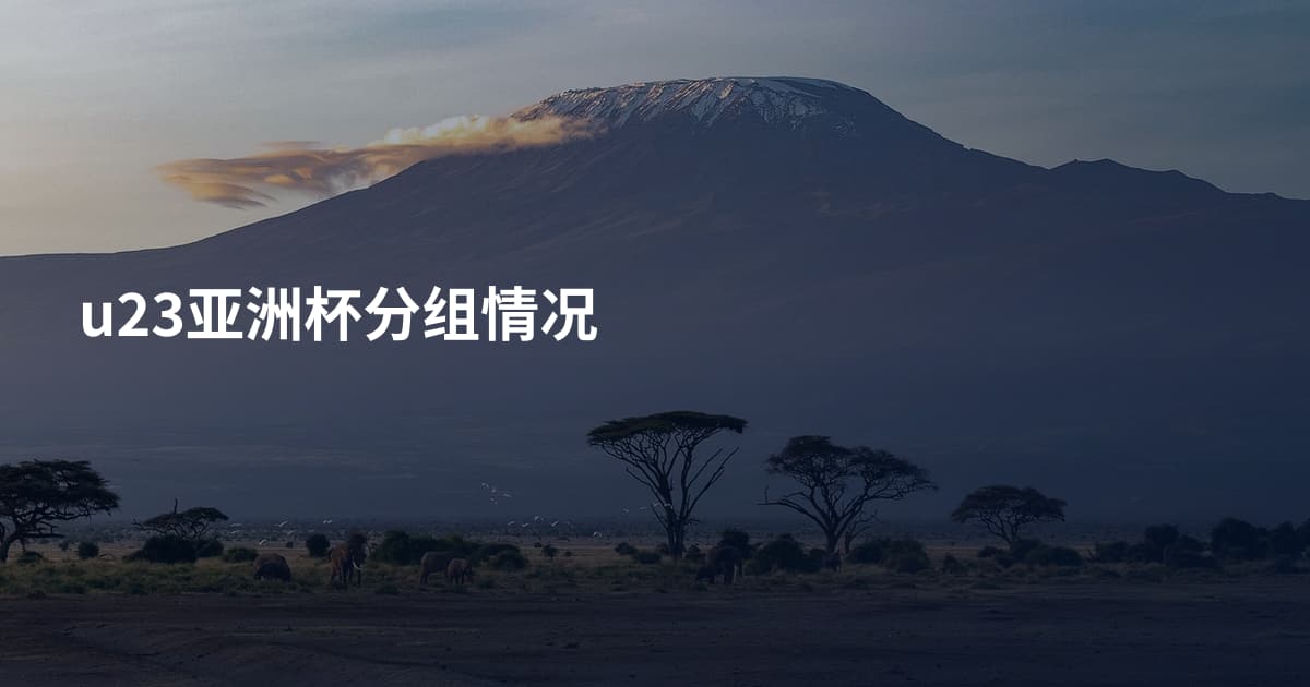 u23亚洲杯分组情况