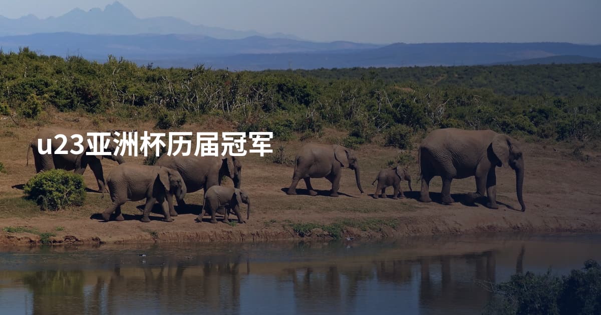 u23亚洲杯历届冠军