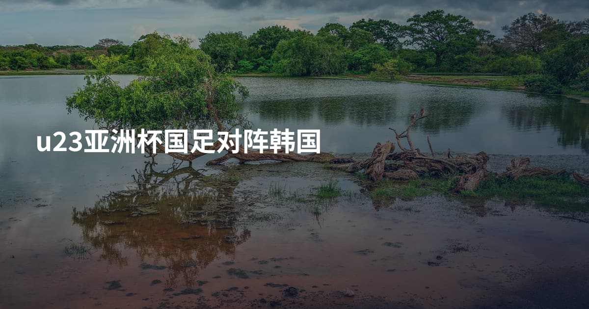 u23亚洲杯国足对阵韩国