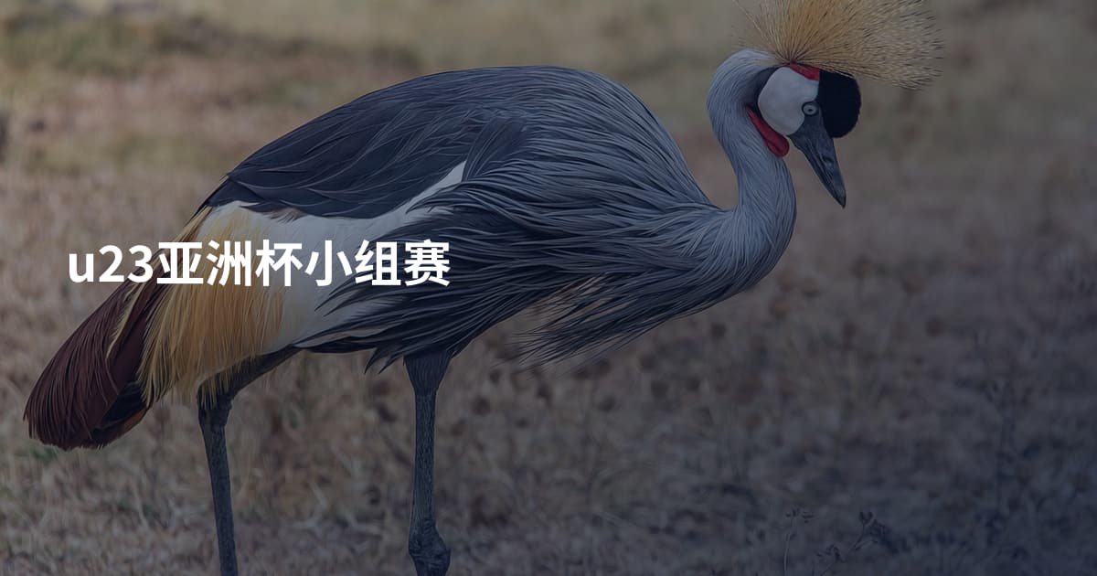 u23亚洲杯小组赛
