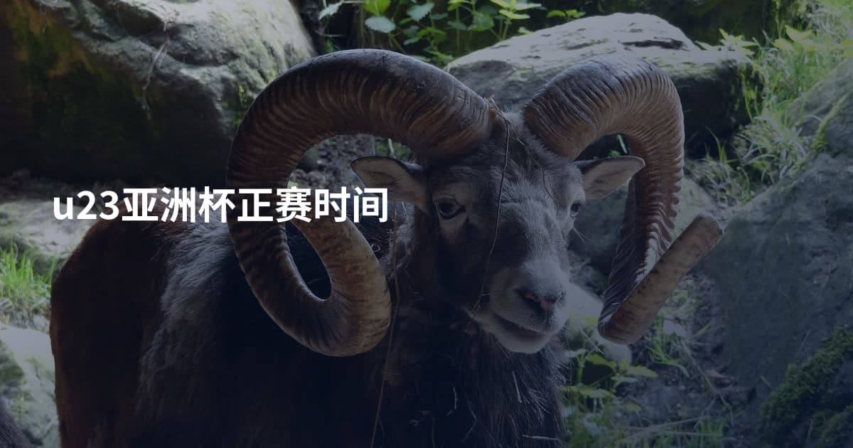u23亚洲杯正赛时间