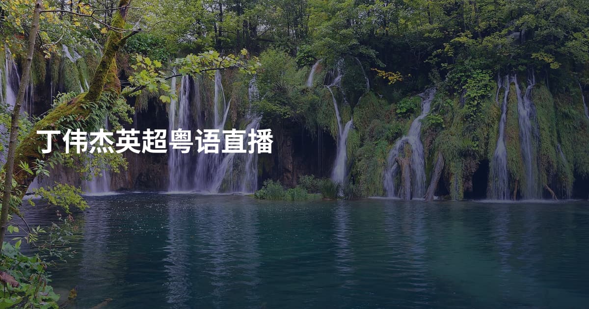 丁伟杰英超粤语直播