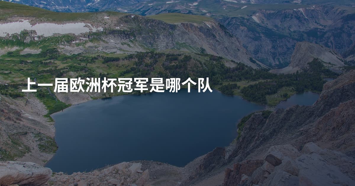 上一届欧洲杯冠军是哪个队