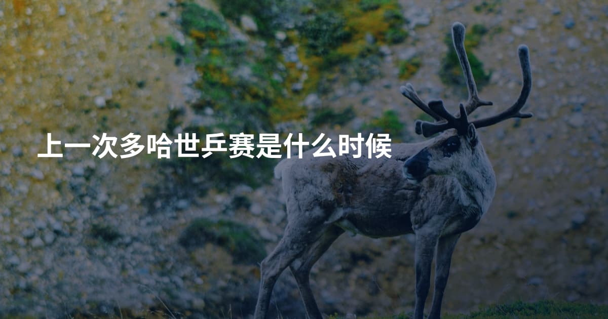 上一次多哈世乒赛是什么时候