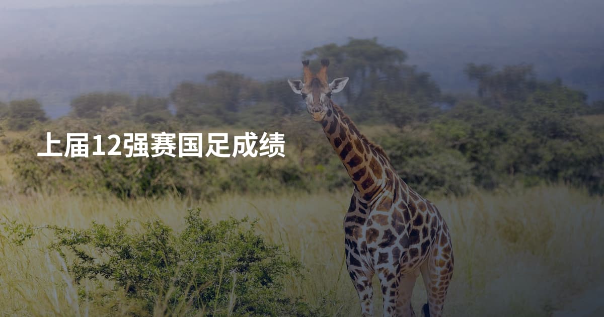 上届12强赛国足成绩