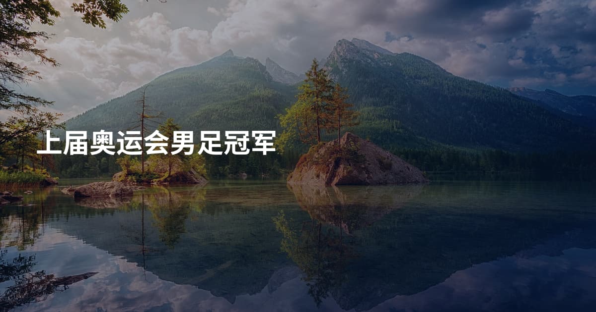 上届奥运会男足冠军