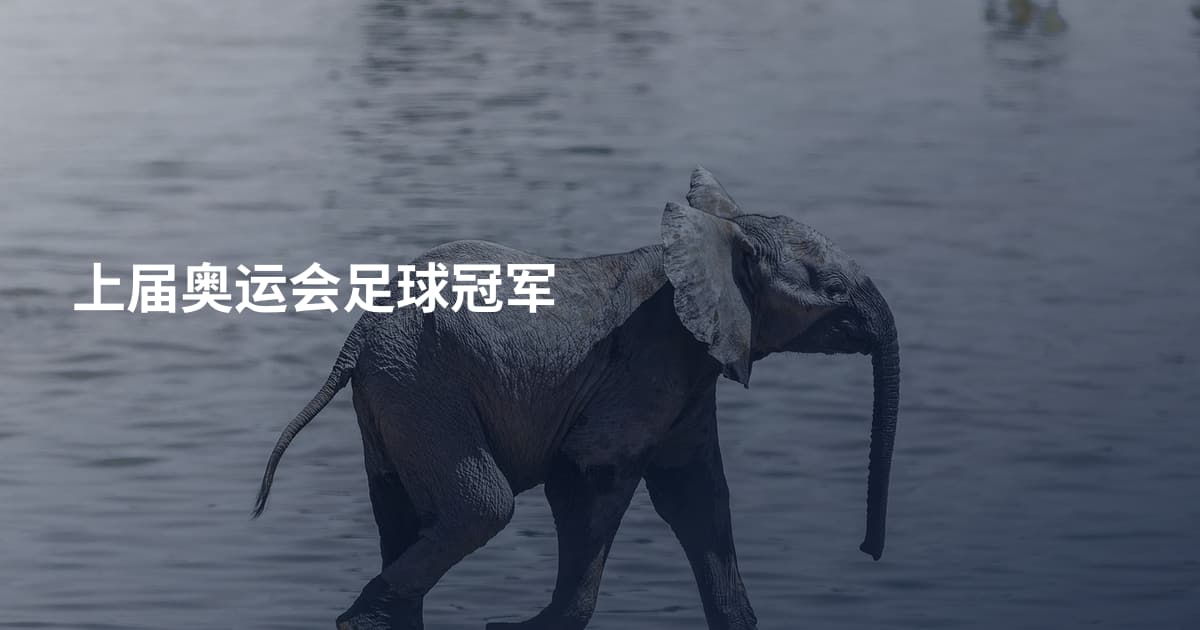 上届奥运会足球冠军