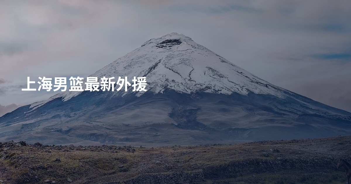 上海男篮最新外援