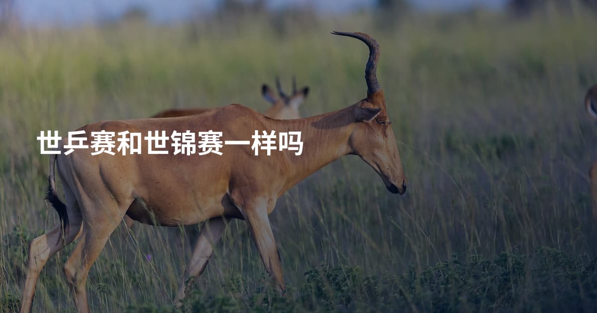 世乒赛和世锦赛一样吗