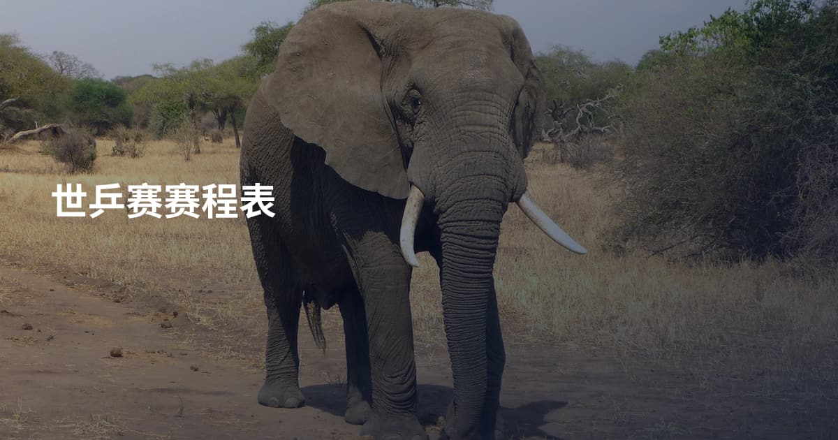 世乒赛赛程表