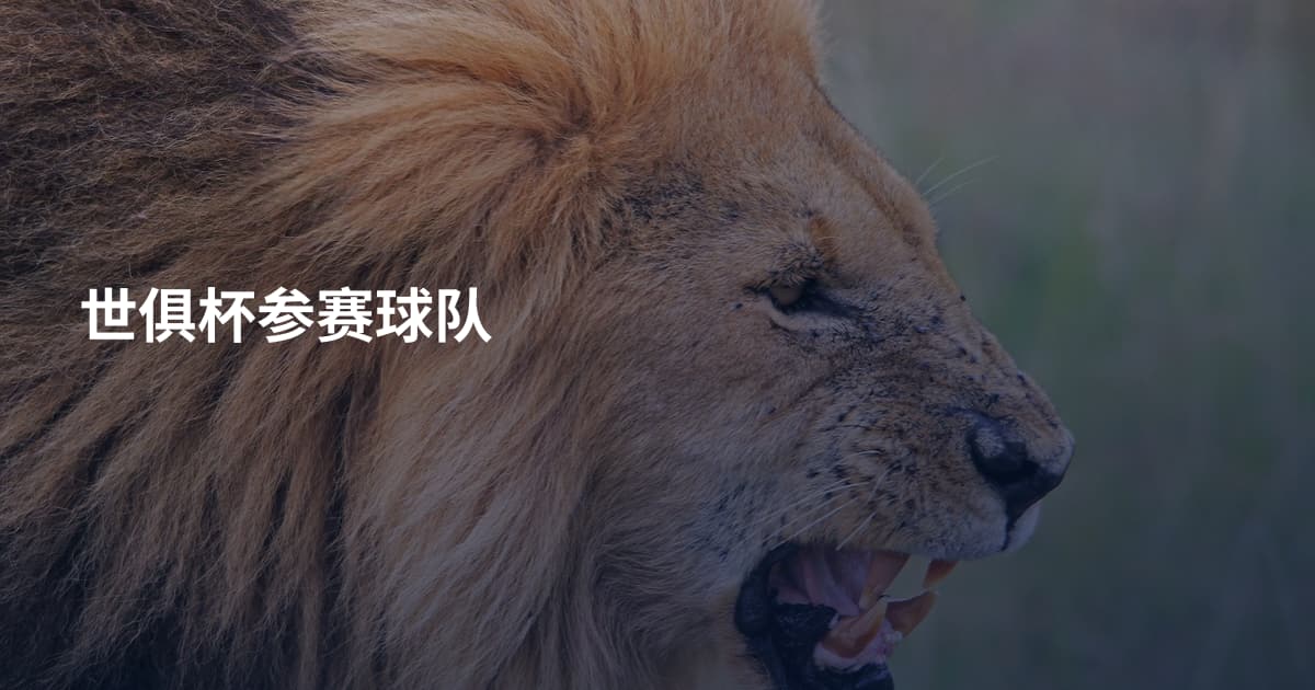 世俱杯参赛球队