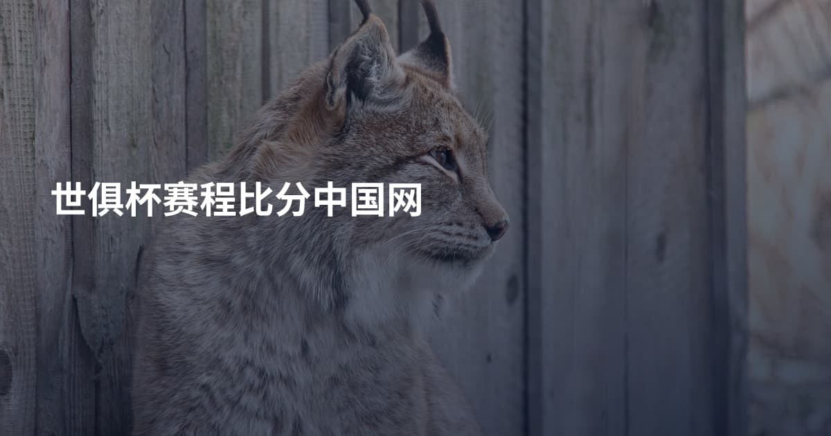世俱杯赛程比分中国网