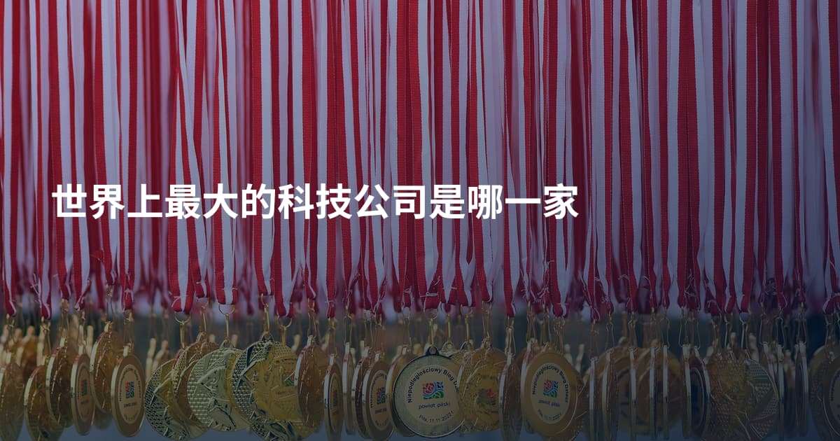 世界上最大的科技公司是哪一家