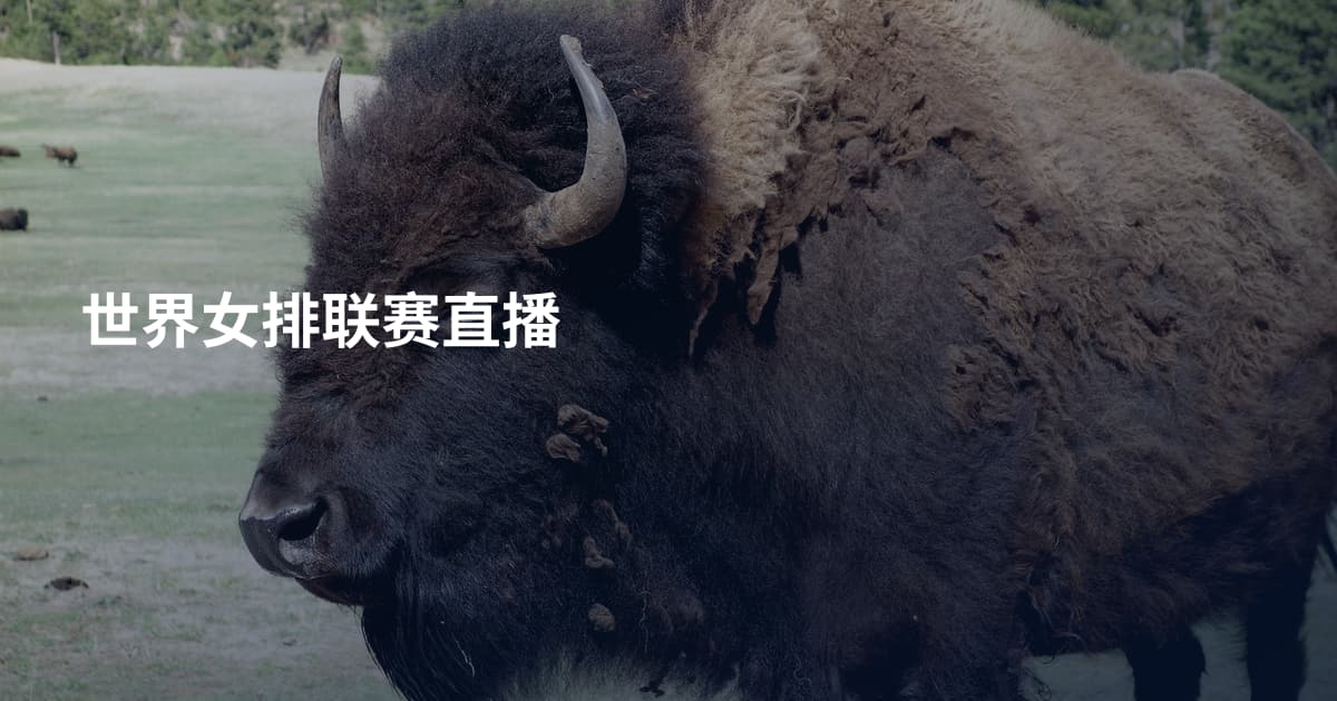 世界女排联赛直播