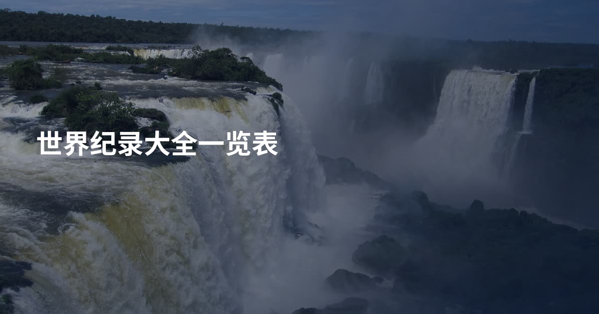 世界纪录大全一览表