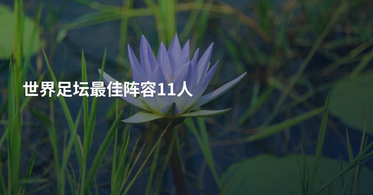 世界足坛最佳阵容11人