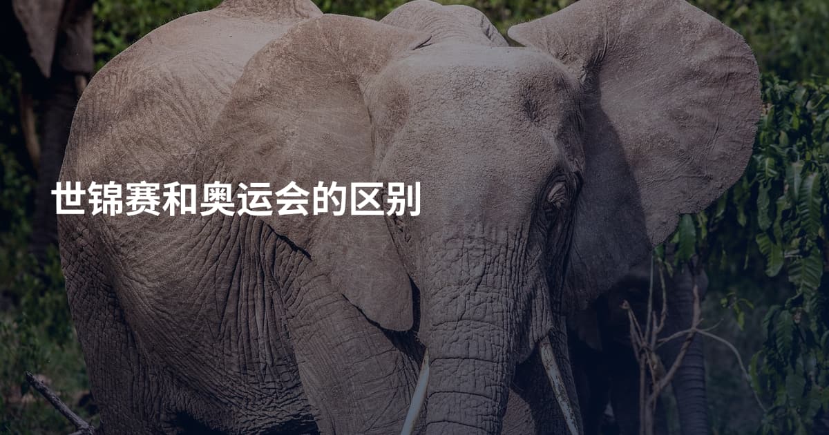 世锦赛和奥运会的区别