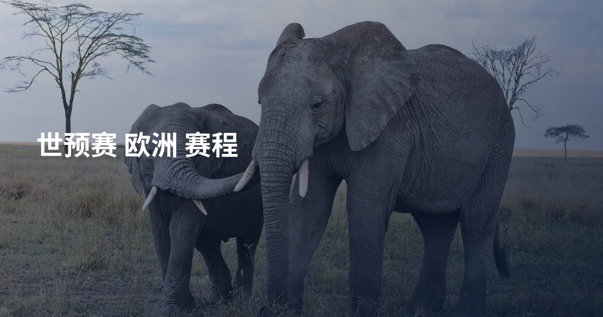 世预赛 欧洲 赛程
