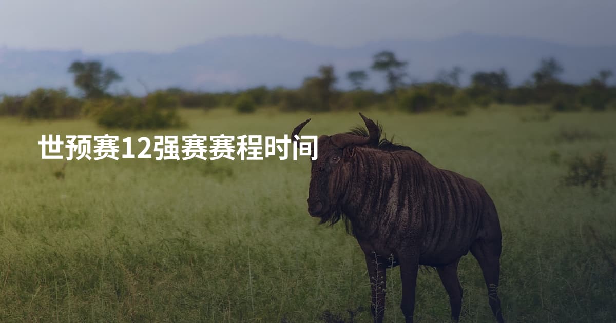 世预赛12强赛赛程时间