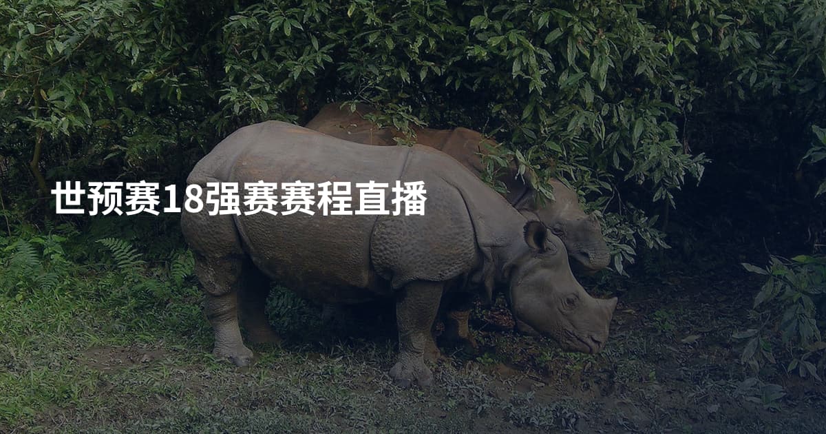 世预赛18强赛赛程直播