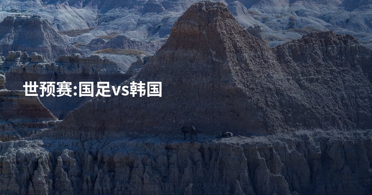 世预赛:国足vs韩国