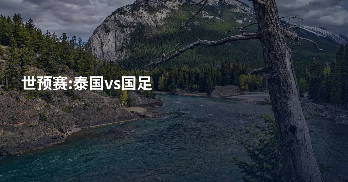 世预赛:泰国vs国足