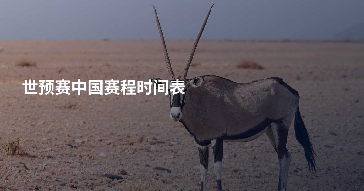 世预赛中国赛程时间表