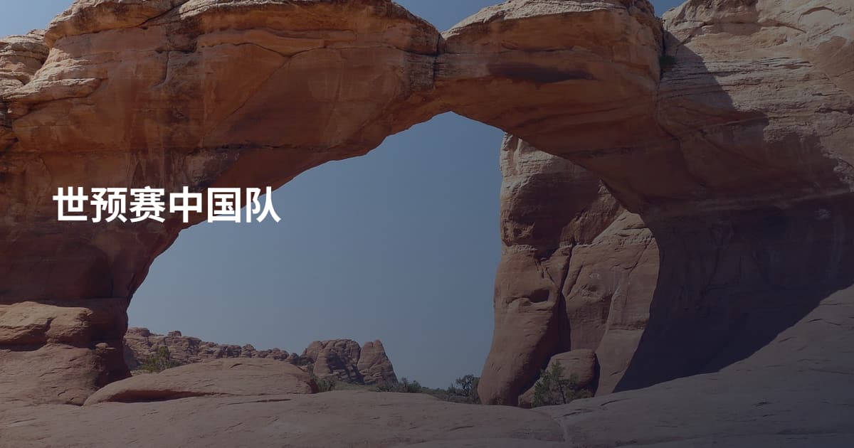 世预赛中国队