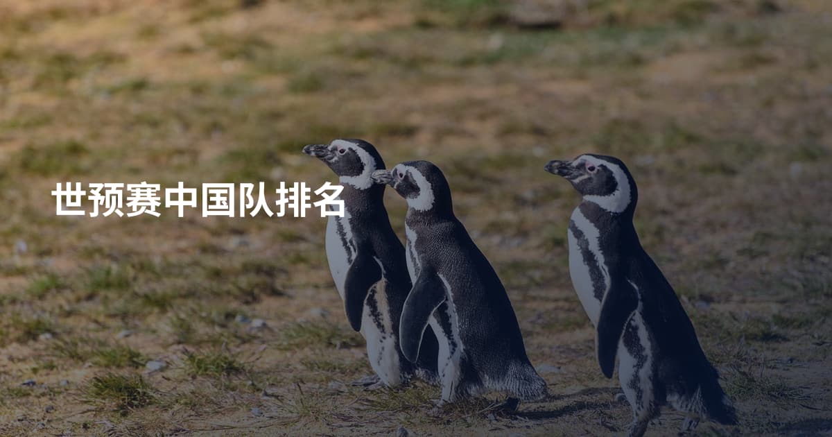世预赛中国队排名