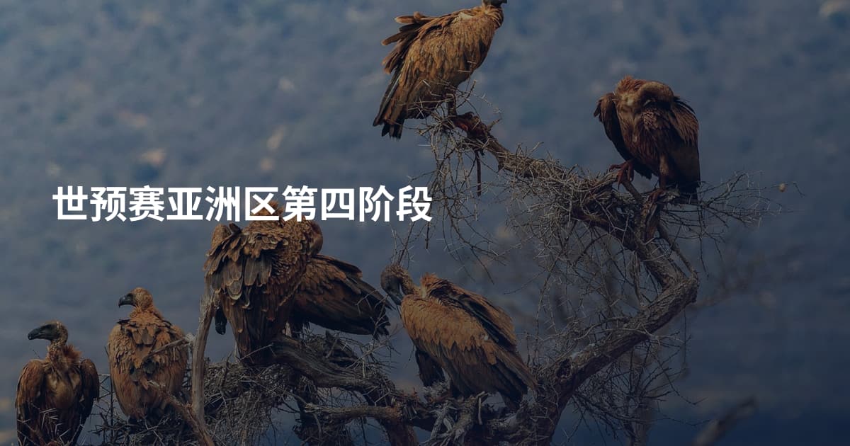 世预赛亚洲区第四阶段