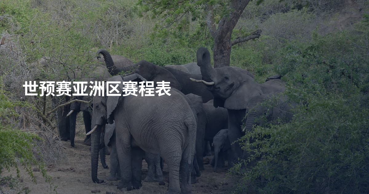 世预赛亚洲区赛程表