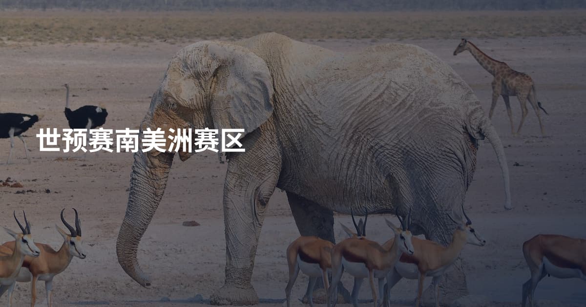 世预赛南美洲赛区