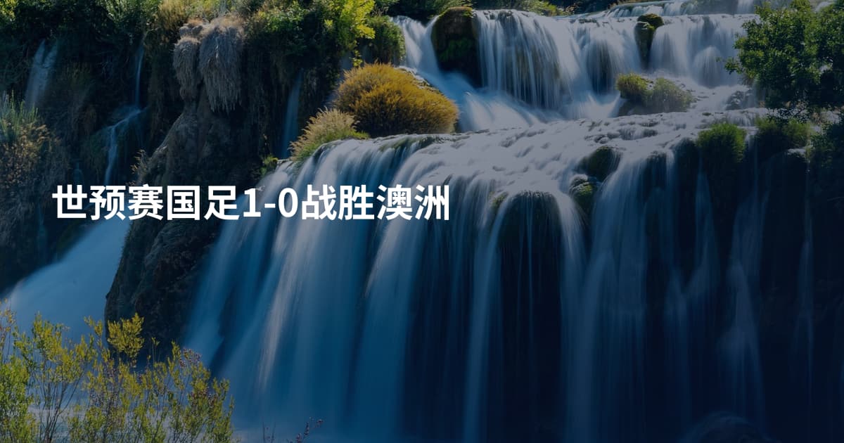 世预赛国足1-0战胜澳洲