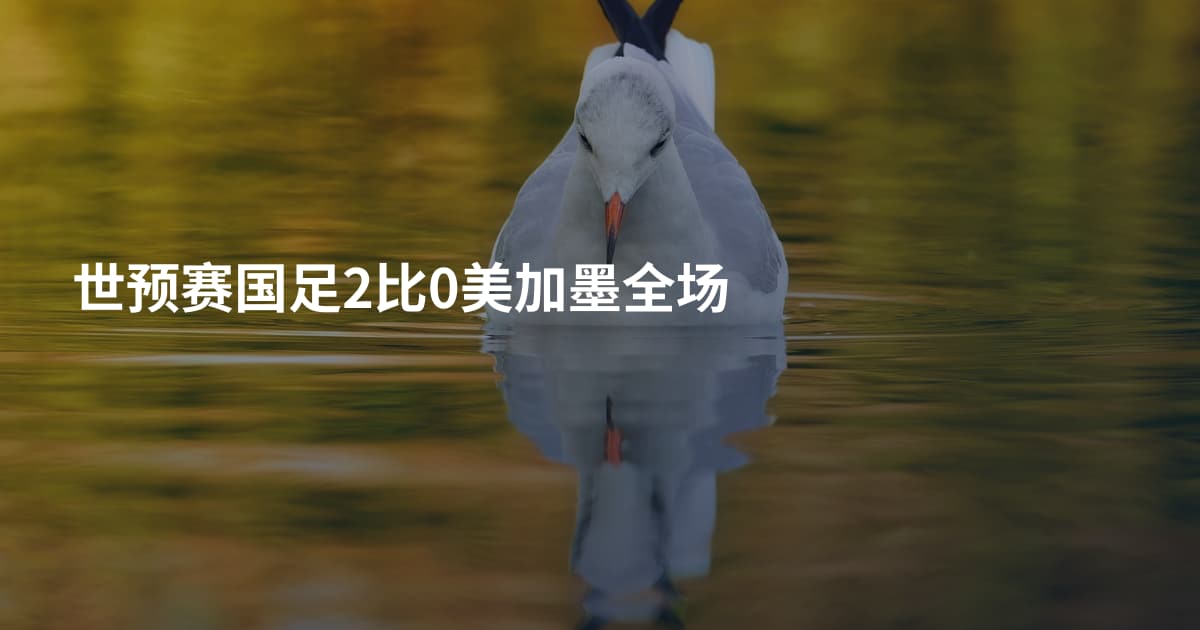 世预赛国足2比0美加墨全场