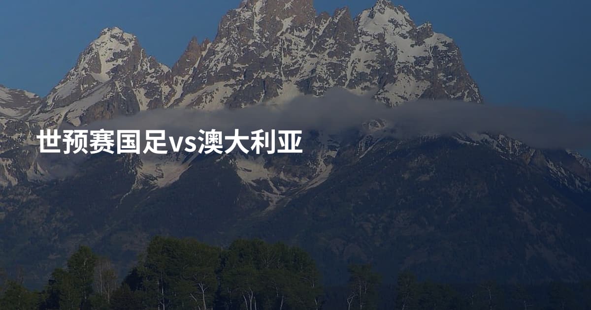 世预赛国足vs澳大利亚