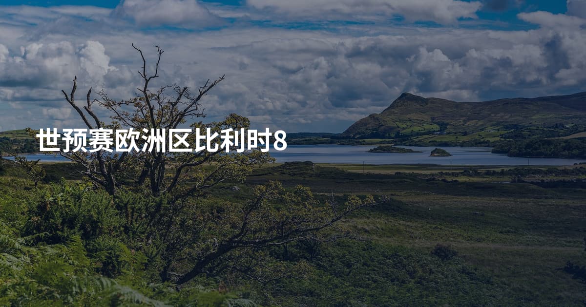 世预赛欧洲区比利时8