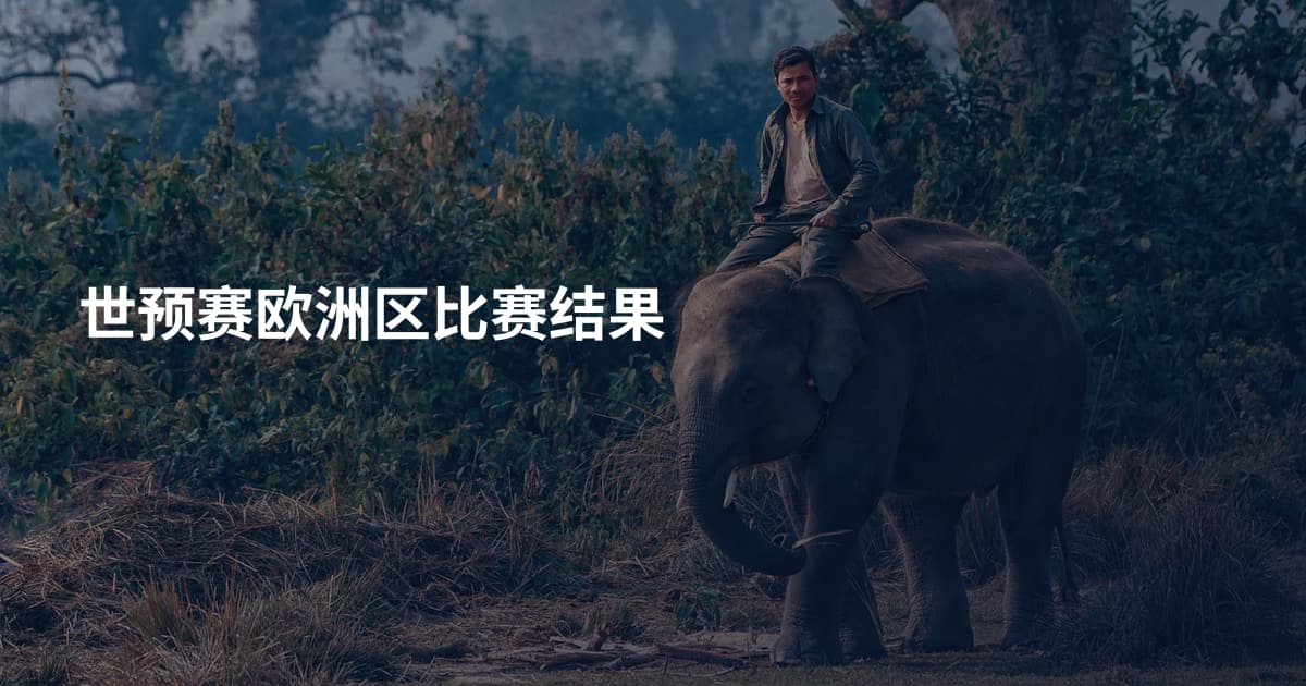 世预赛欧洲区比赛结果