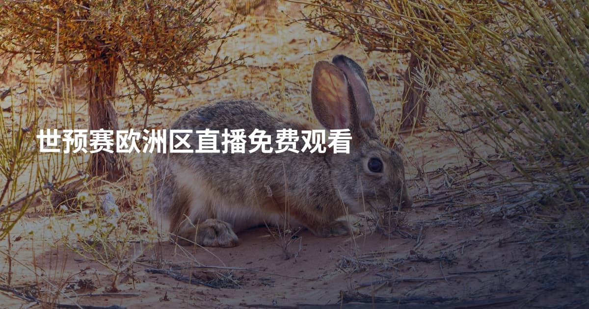 世预赛欧洲区直播免费观看