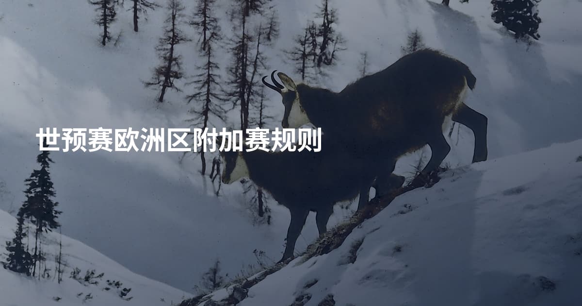 世预赛欧洲区附加赛规则