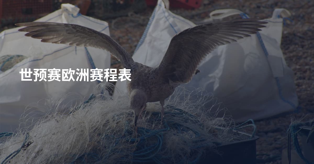 世预赛欧洲赛程表