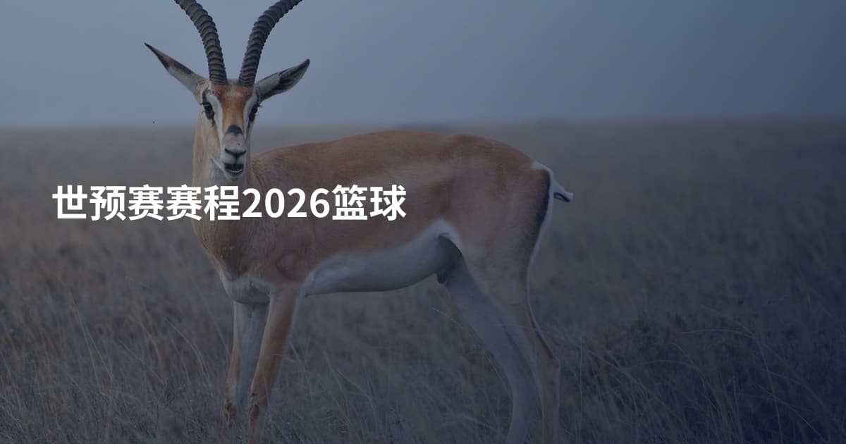 世预赛赛程2026篮球