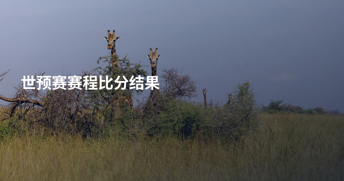 世预赛赛程比分结果