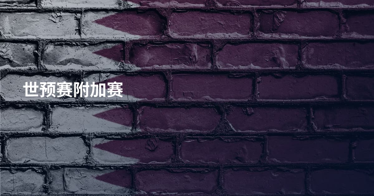 世预赛附加赛