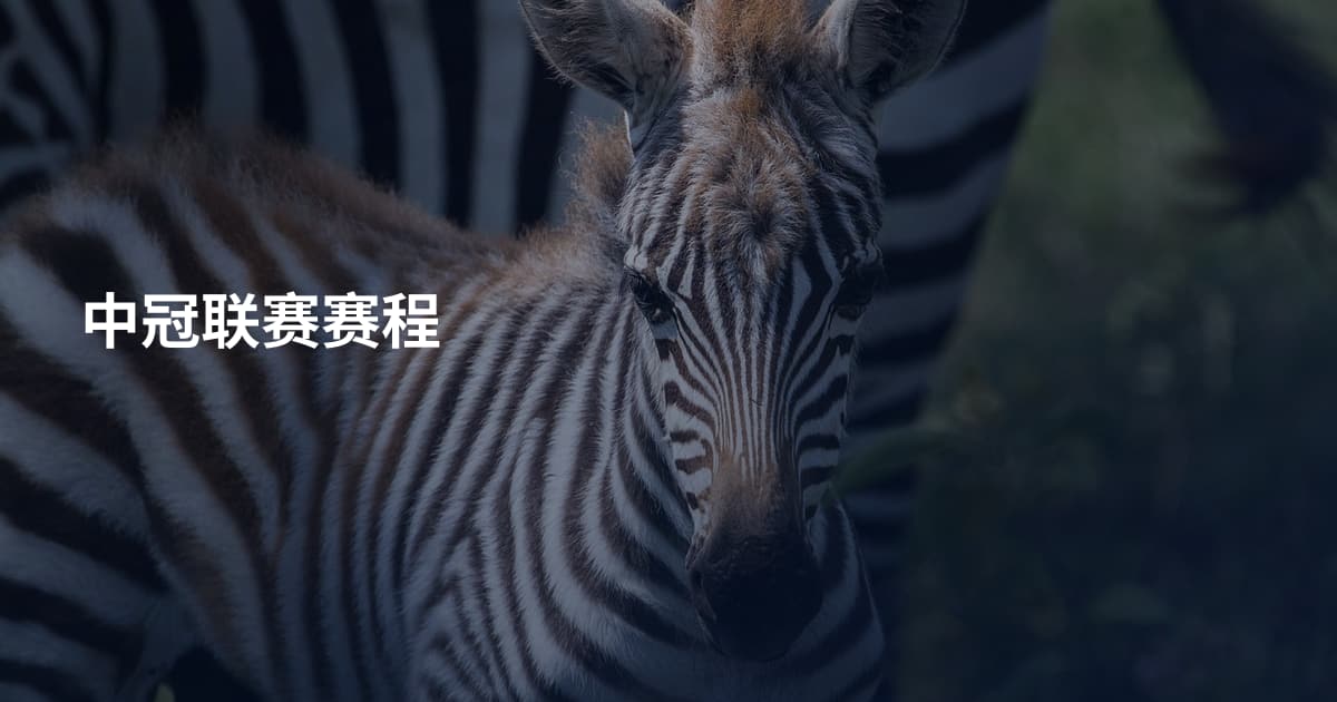 中冠联赛赛程