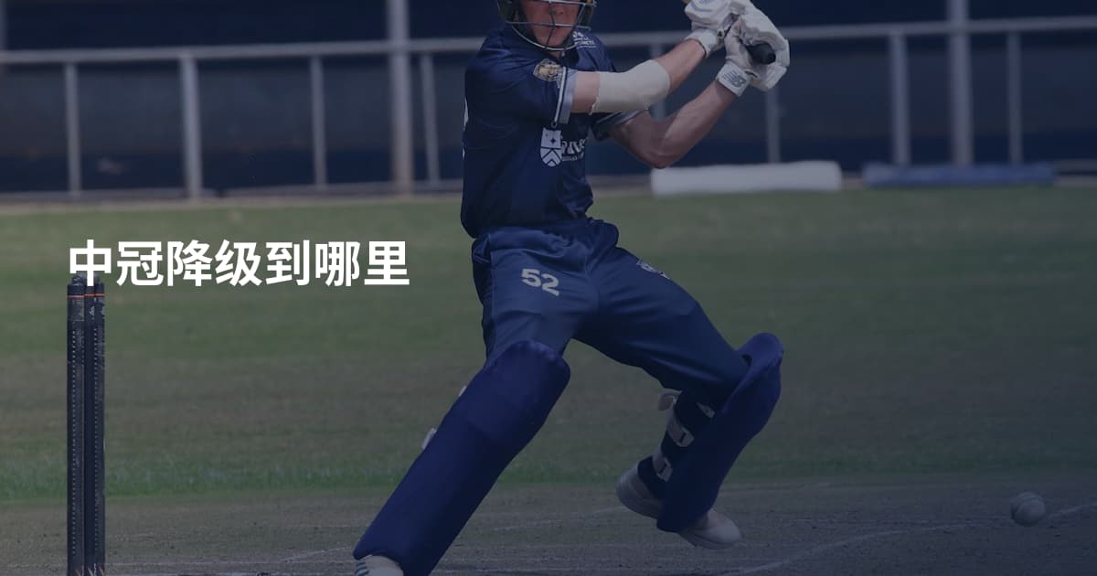中冠降级到哪里