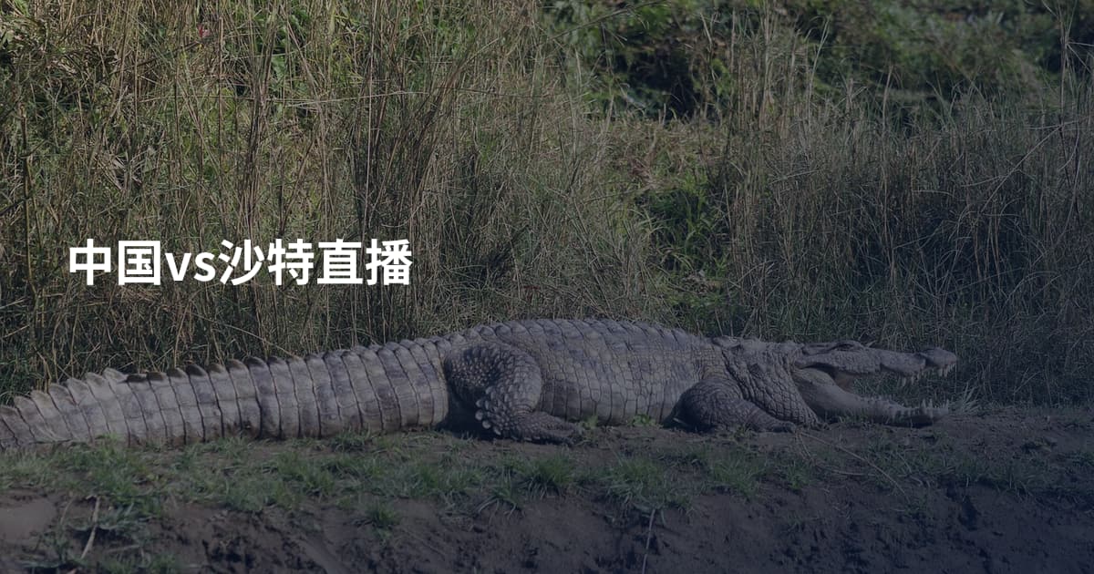 中国vs沙特直播