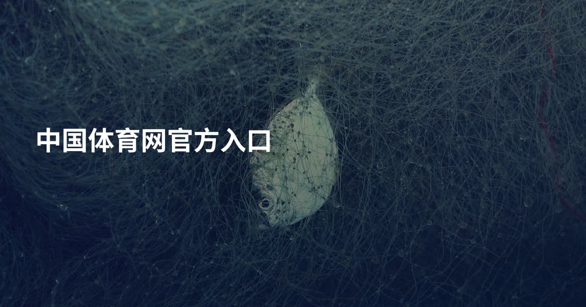 中国体育网官方入口