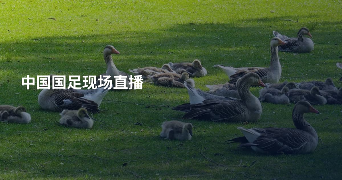 中国国足现场直播